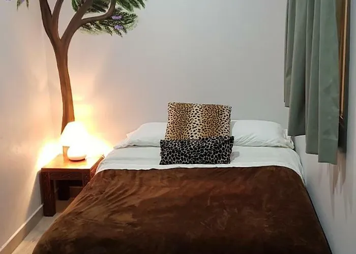 Guest house 36b Calle General Fco. Molinos Del Campo